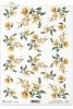kwiat, kwiaty, lilia, lilie. lilii, ogród, R149, flower, flowers, lily, lilies. lilies, garden, flores, blanco - lirios amarillos. Pequeñas flores dispersas por el prado , weiß - gelbe Lilien. Kleine Blumen verstreut über die Wiese 